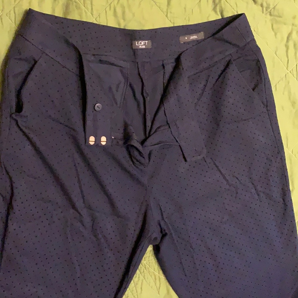 Ann Taylor Loft plus size 16 Marisa fit